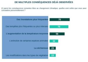 Conséquences déjà observées