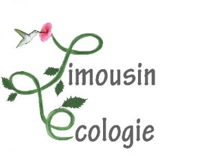 logolimecolo