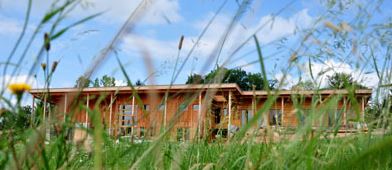 Le battement d'ailes1