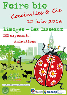 AFFICHE-page001 coccinelle