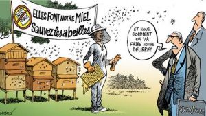 abeille_neonicotinoide1