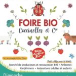 affiche Coccinelles 2022